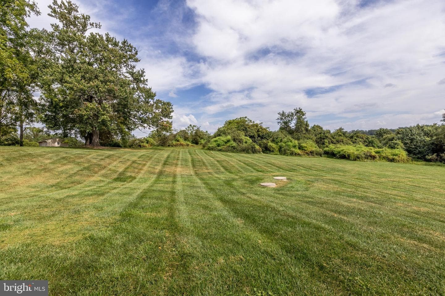 1205 Bear Hollow Court photo 50