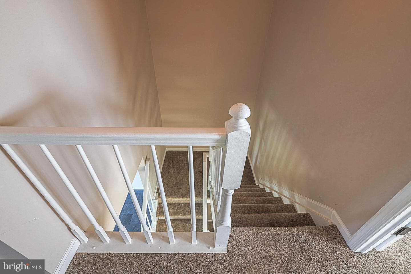 906 Buckland Place photo 50