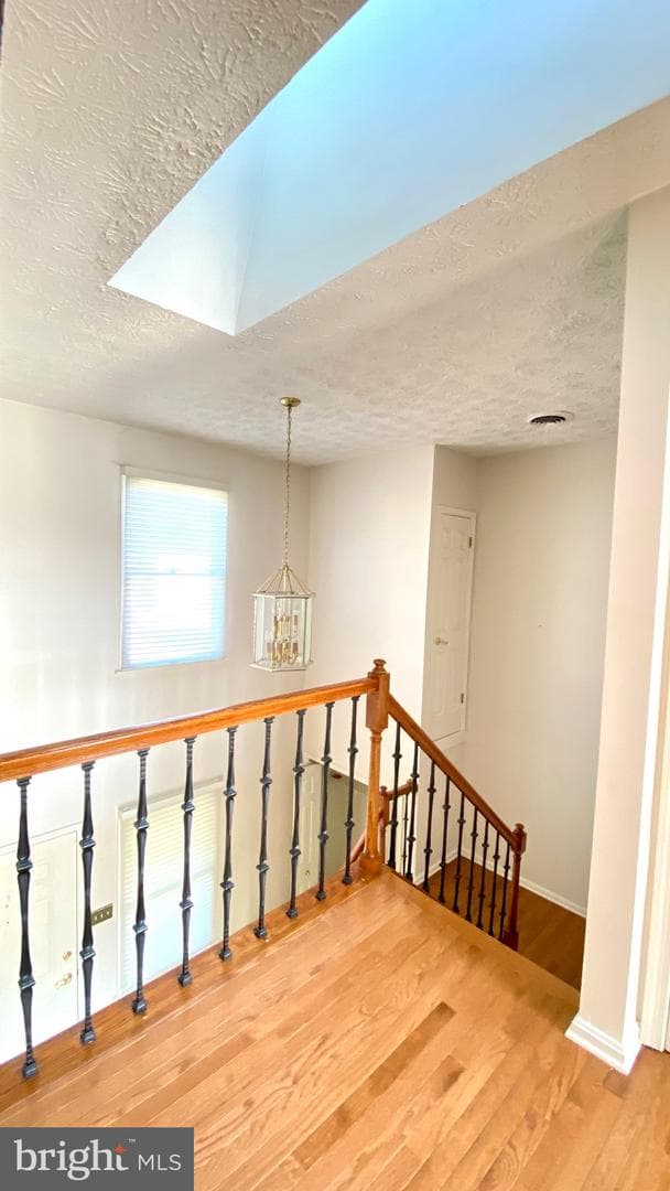 124 Ravenswood photo 25