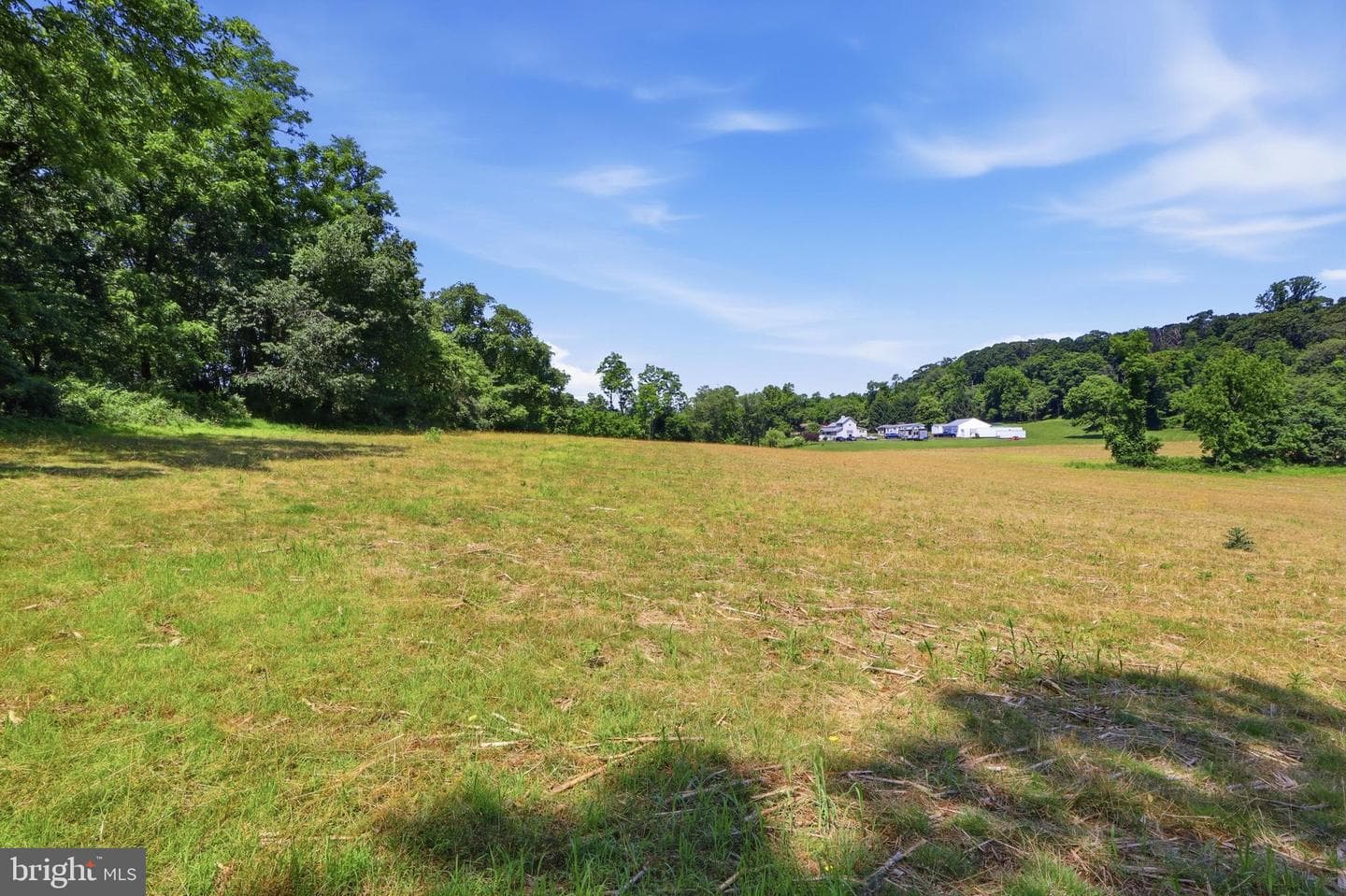 3555 Mill Green Road photo 70