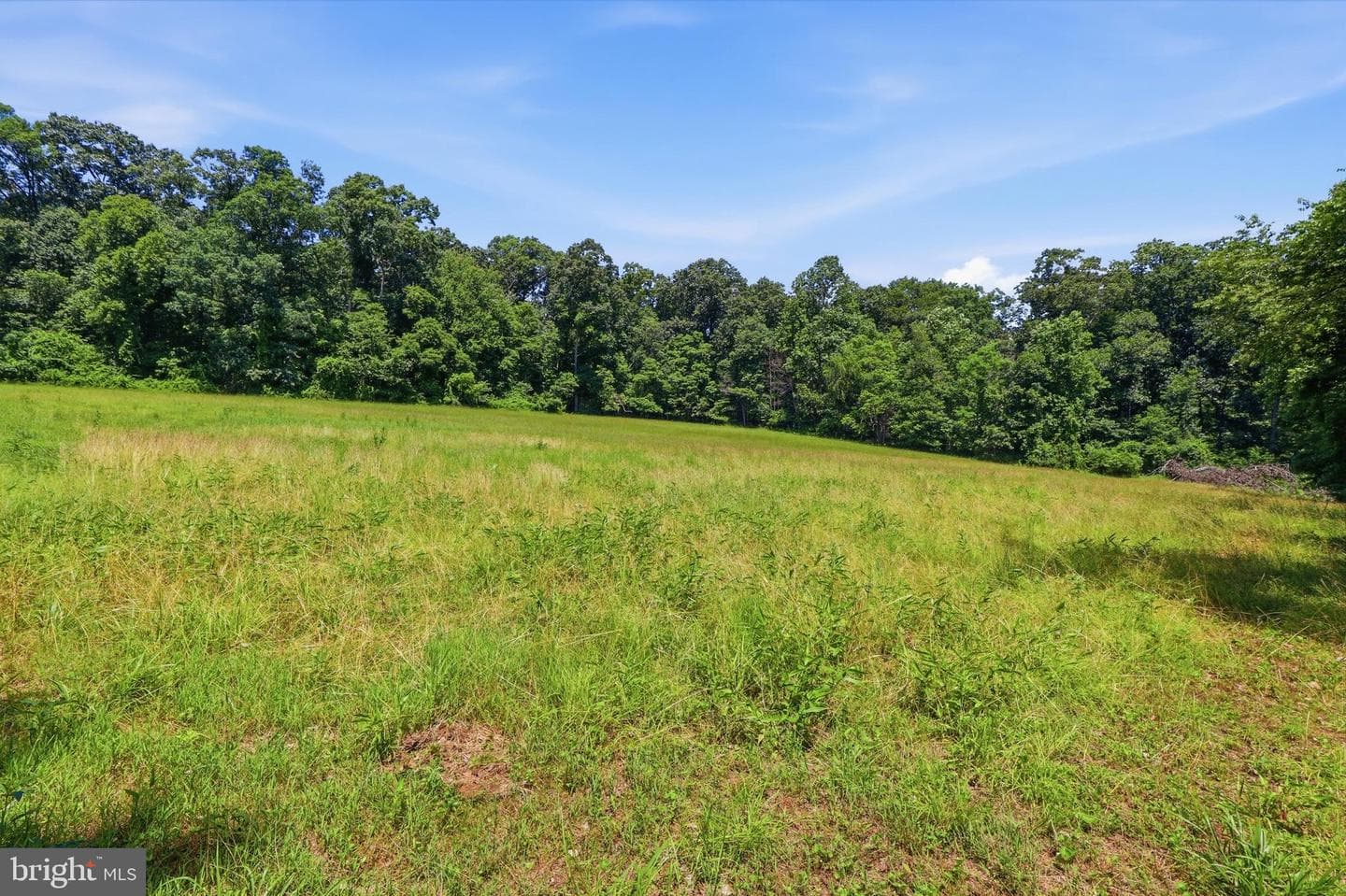 3555 Mill Green Road photo 79