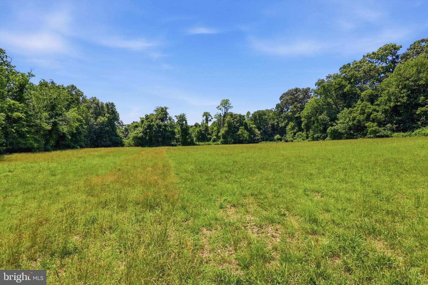 3555 Mill Green Road photo 80