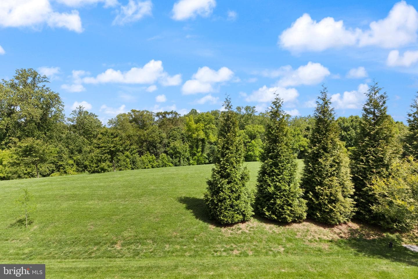 348 Spruce Pine Road photo 29