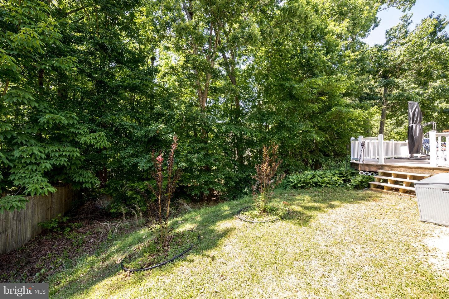 902 Scannell Court photo 34