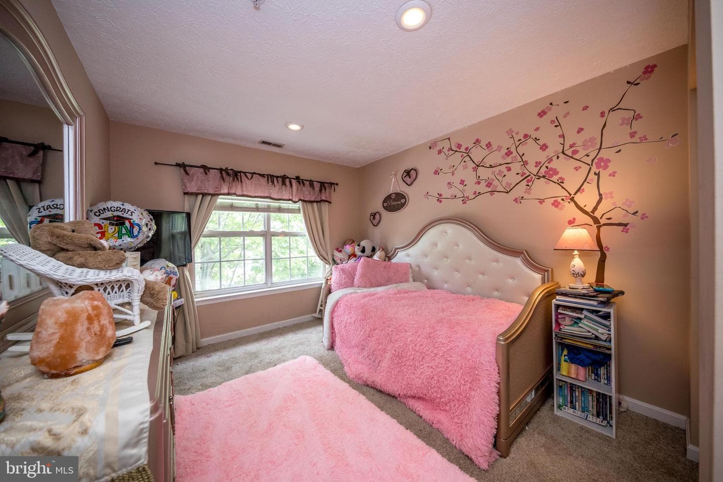 225 Woodland Green Way photo 11