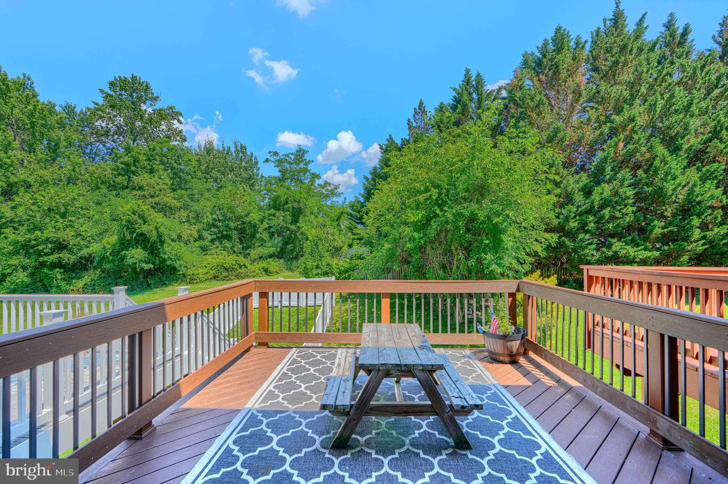 1137 Splashing Brook Drive photo 11