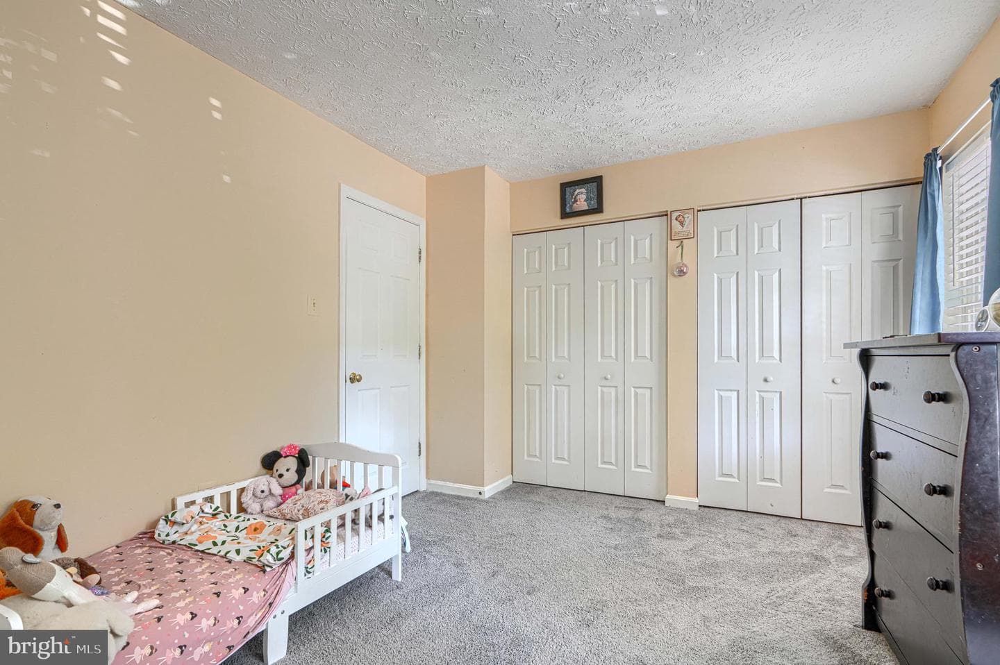 1137 Splashing Brook Drive photo 17