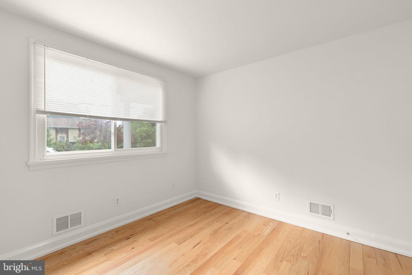 336 Catherine Street photo 16