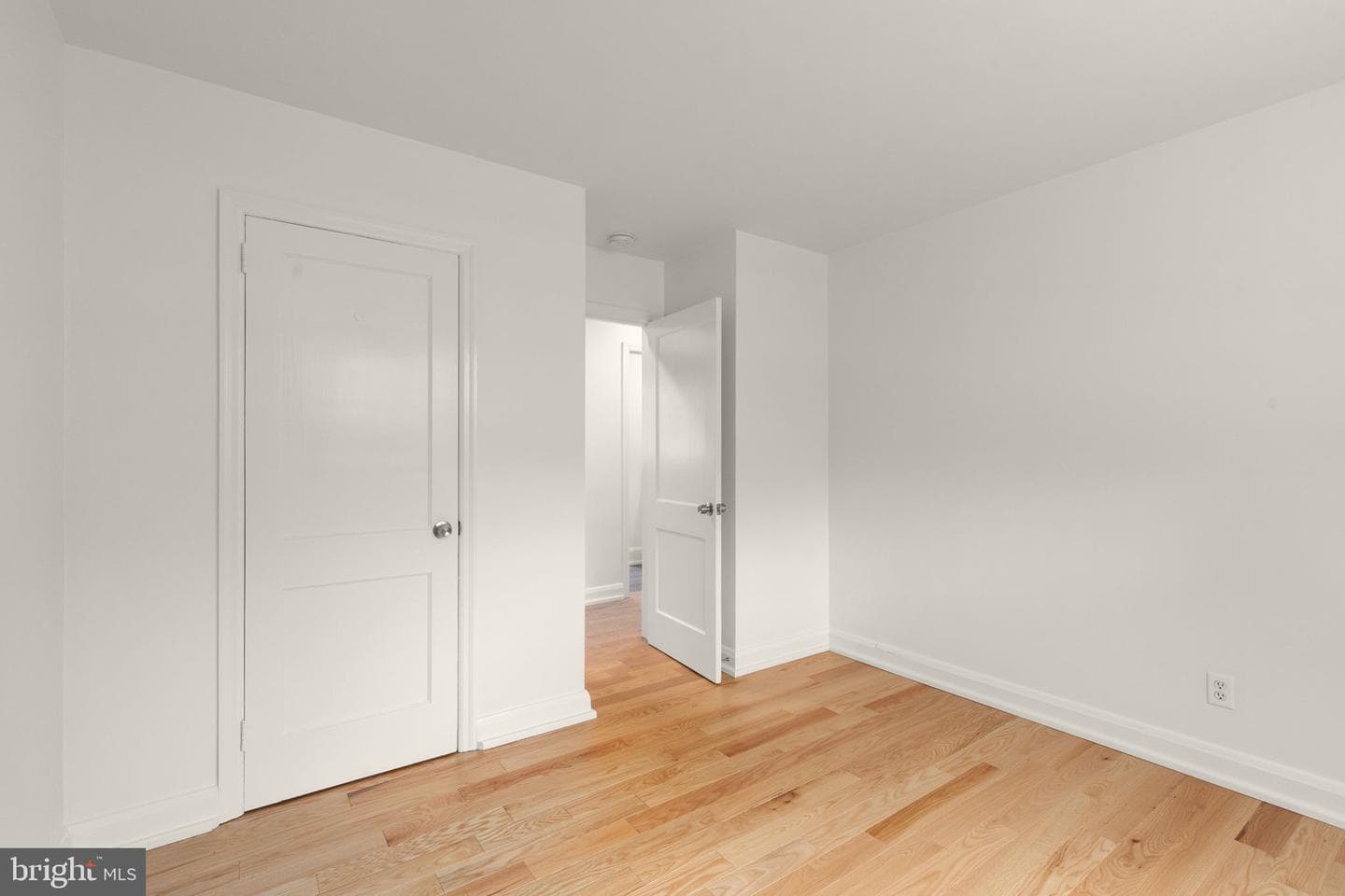 336 Catherine Street photo 17