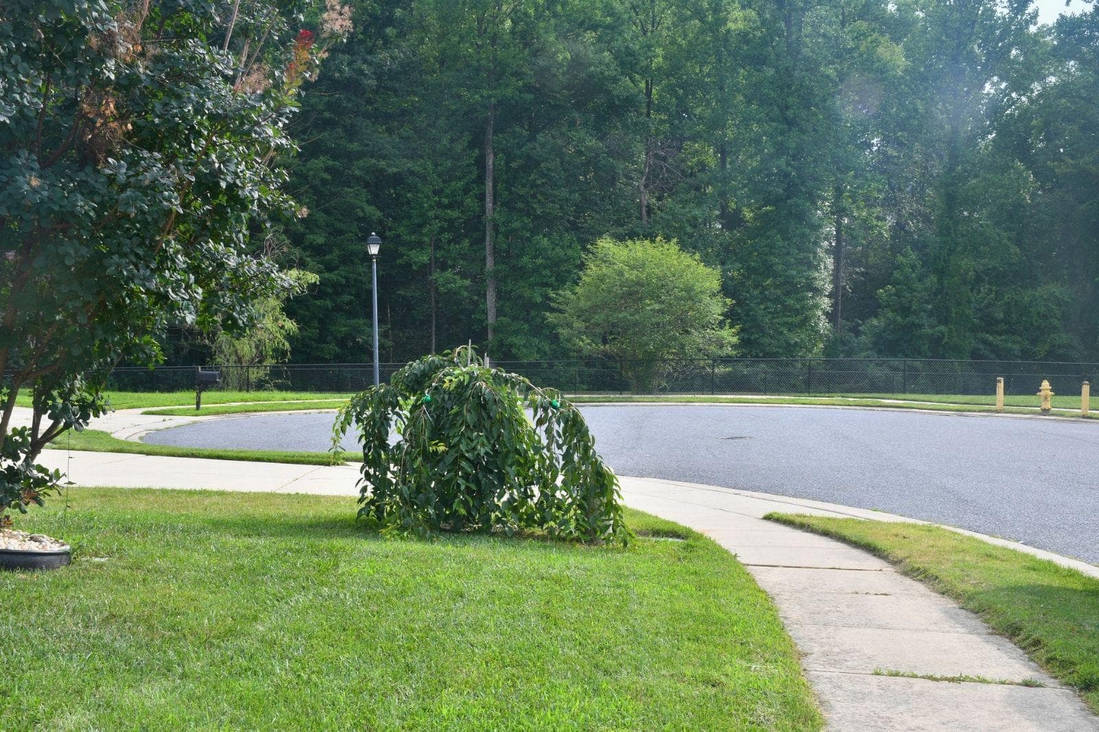 4407 Antrim Court photo 26