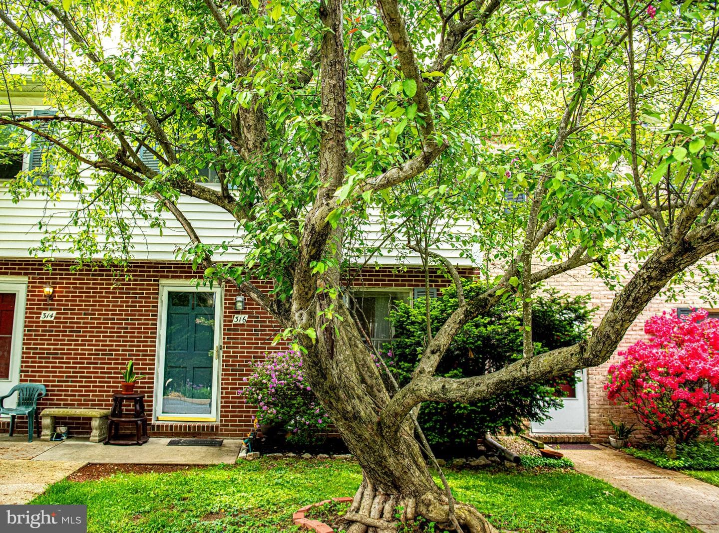 316 Franklin Street #316 photo 3