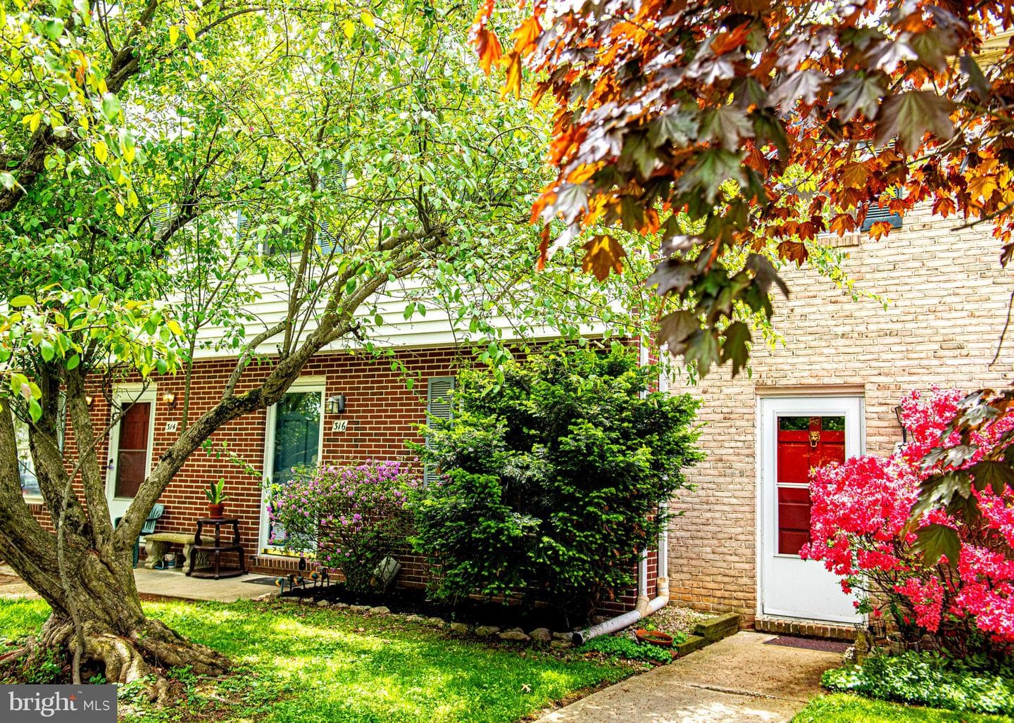 316 Franklin Street #316 photo 5