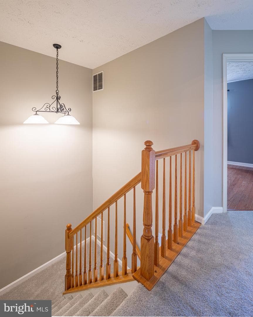 2164 Kyle Green Road photo 24