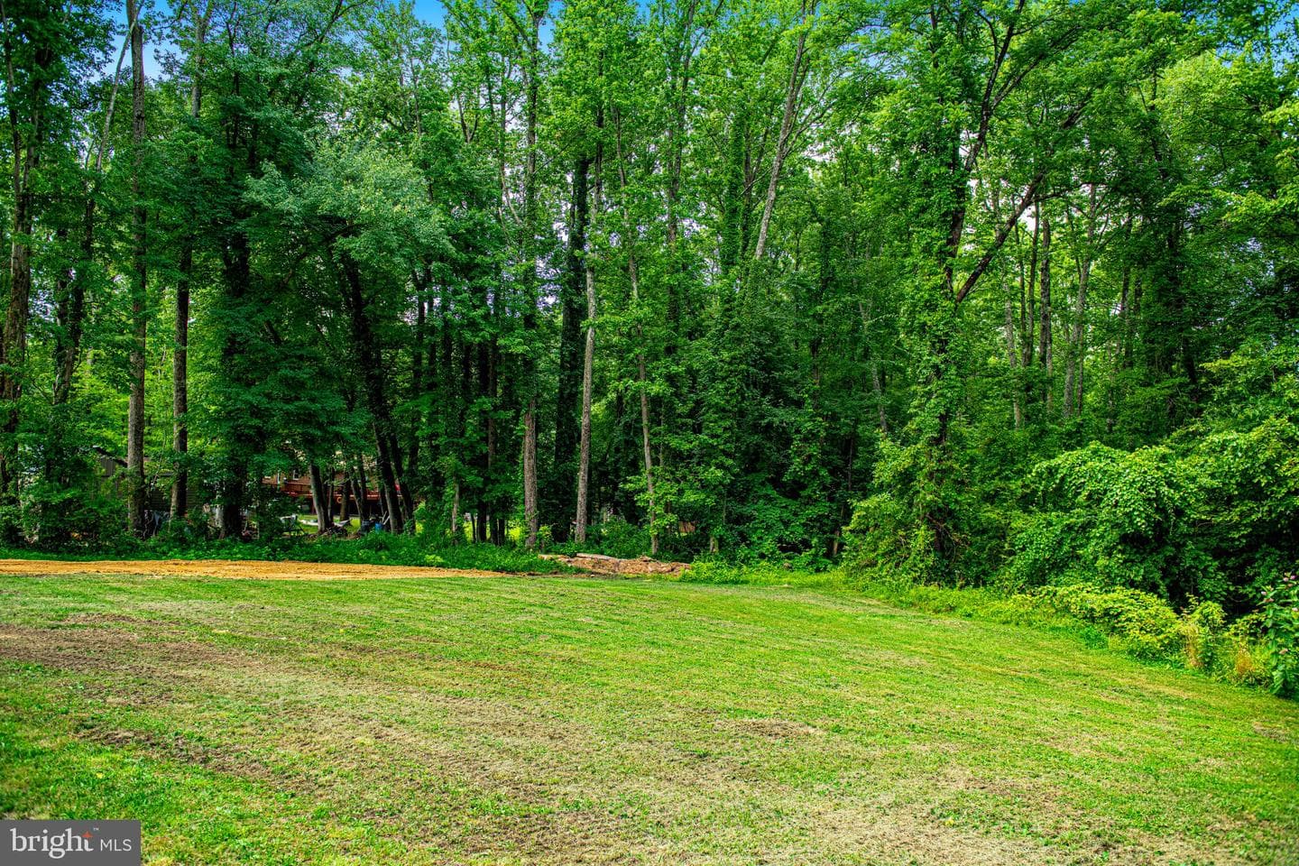 2912 Old Mountain Road S photo 59