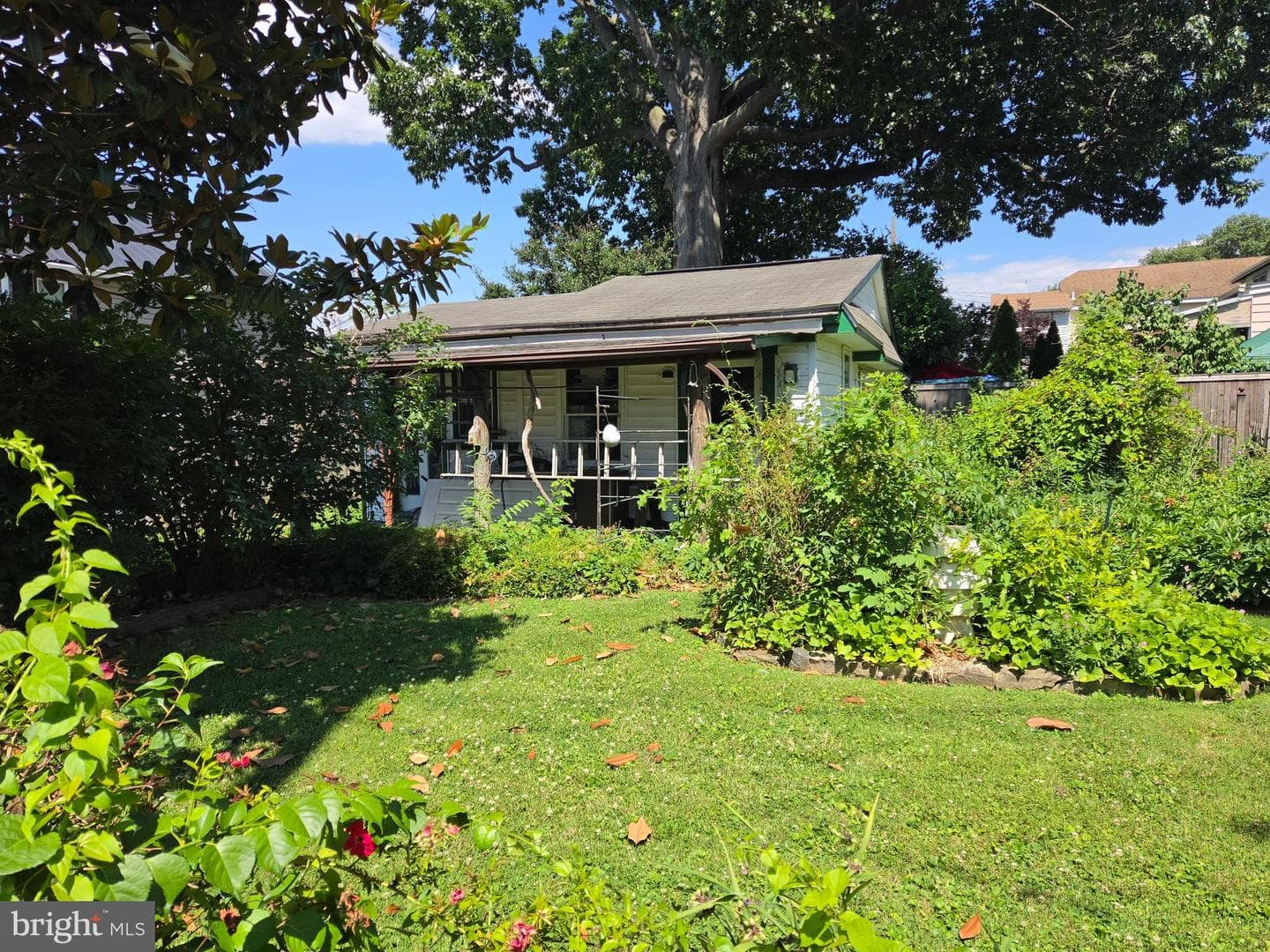 567 Green Street photo 7