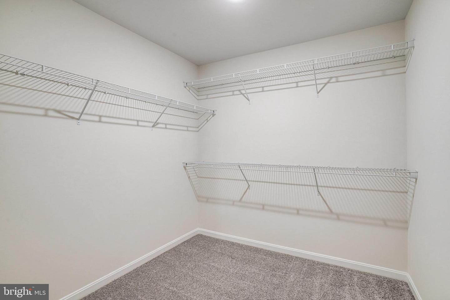 1617 Shady Tree Court photo 59