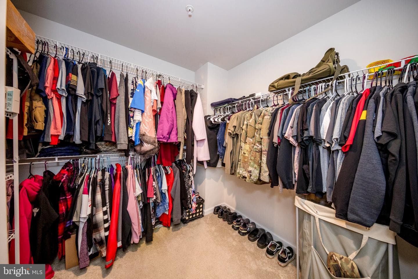 167 Hokeland Drive photo 22