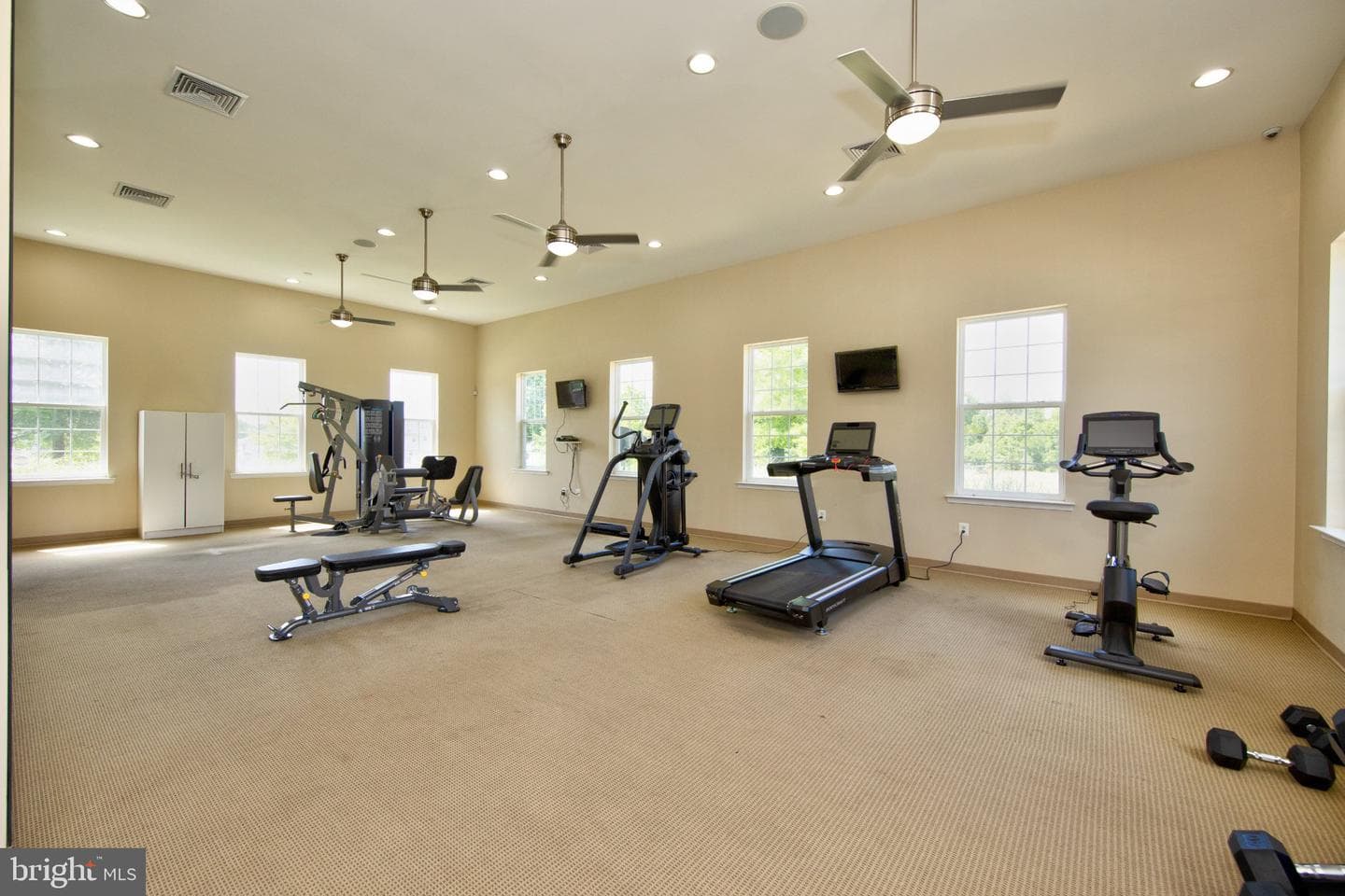 167 Hokeland Drive photo 35