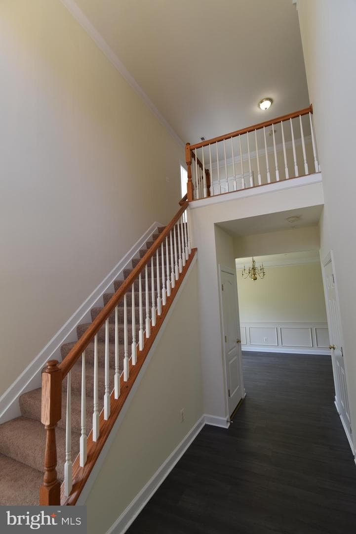 139 Hokeland Drive photo 56