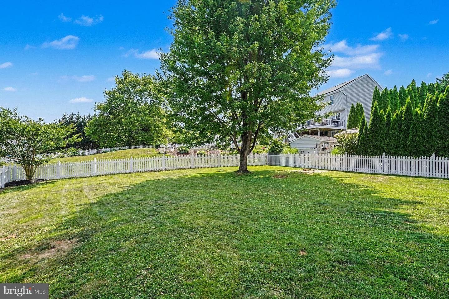 703 Hickory Limb Circle photo 9