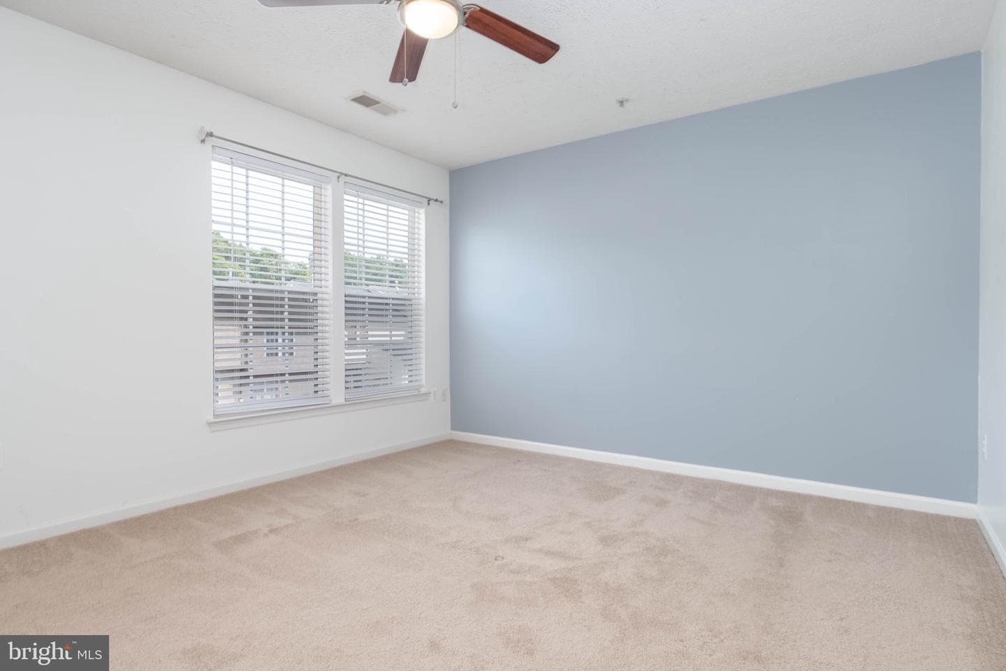 5046 Bristle Cone Circle photo 37