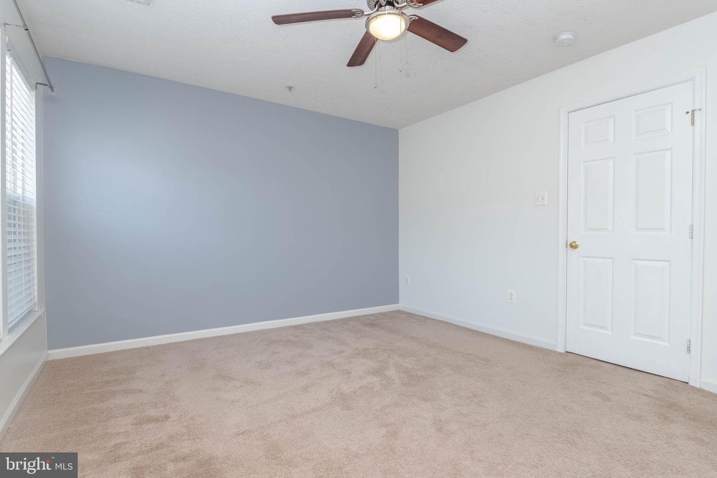 5046 Bristle Cone Circle photo 40