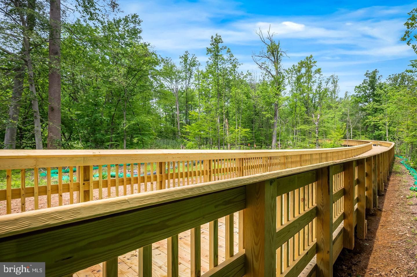 1003 Running Creek Way #28 photo 5