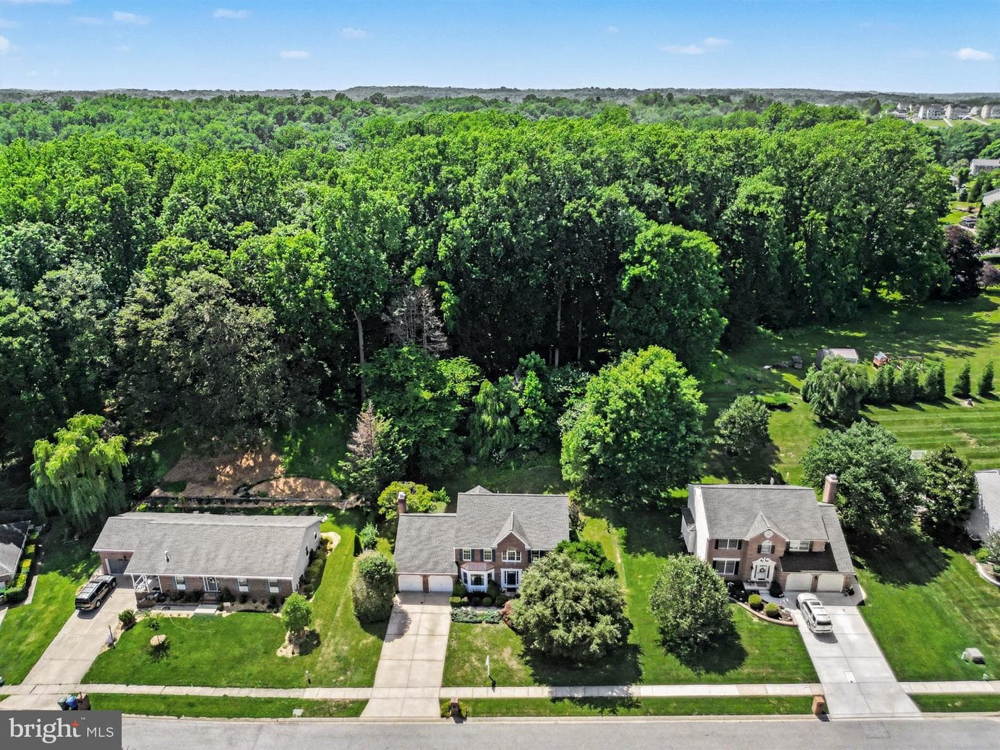 2014 Royal Fern Court photo 43