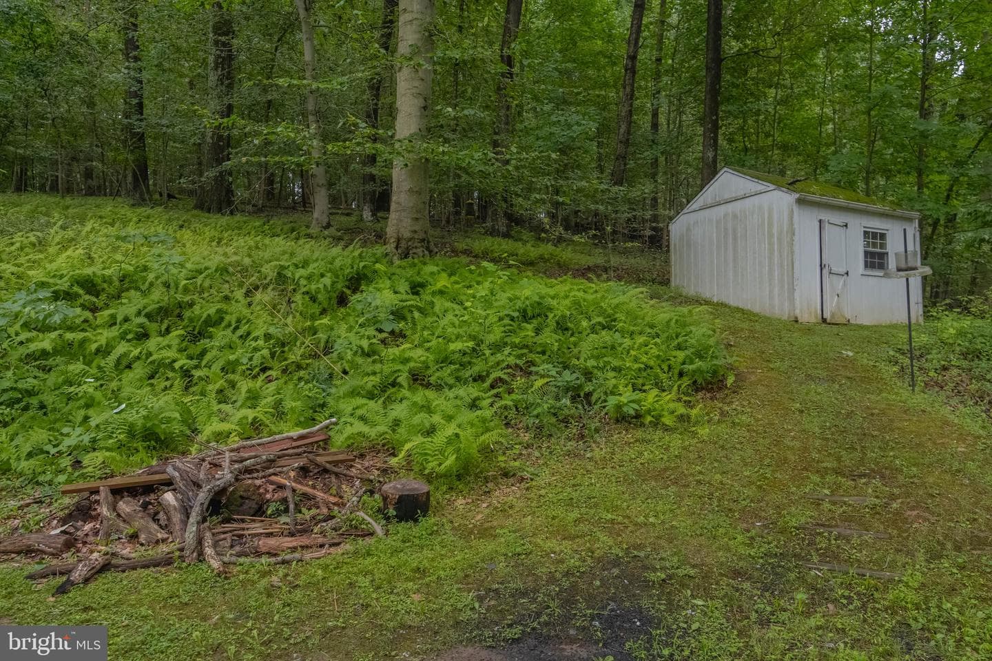 2525 Friendship Road photo 9