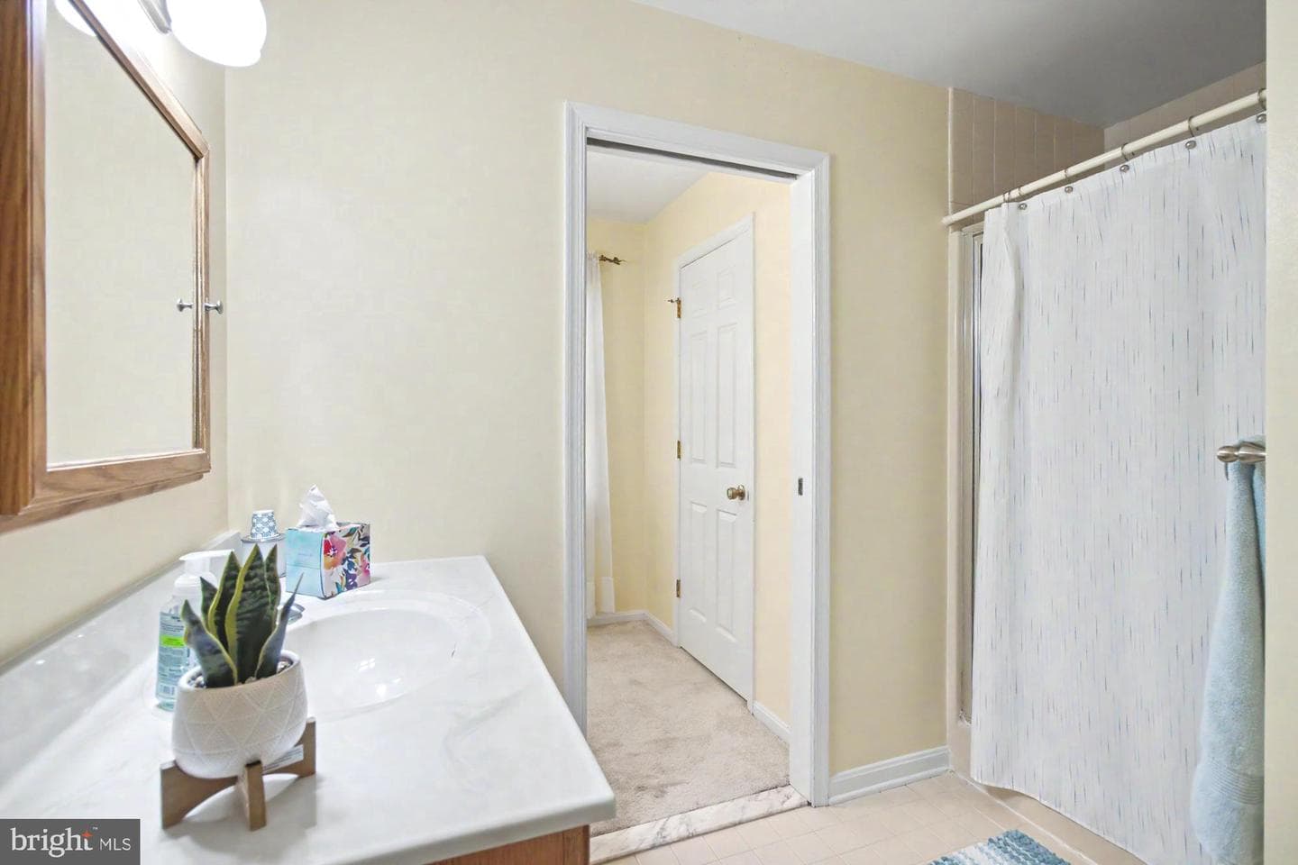2708 Raynham Court photo 41
