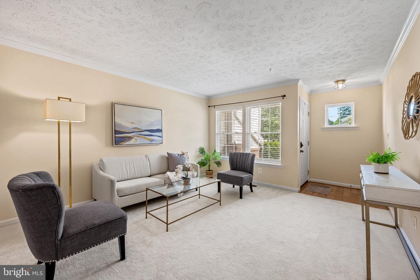 206 Colgate Drive photo 12