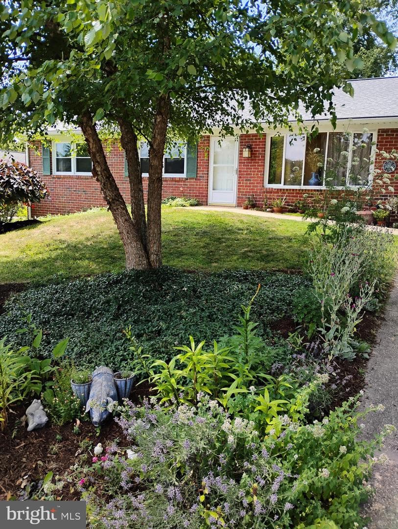 306 Mauser Drive photo 41