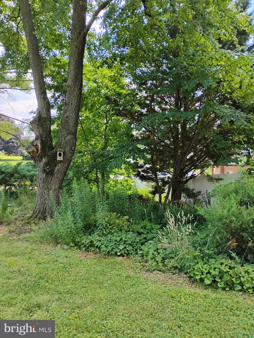 306 Mauser Drive photo 42