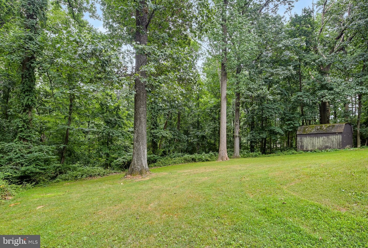 1511 Lady Anne Court photo 49