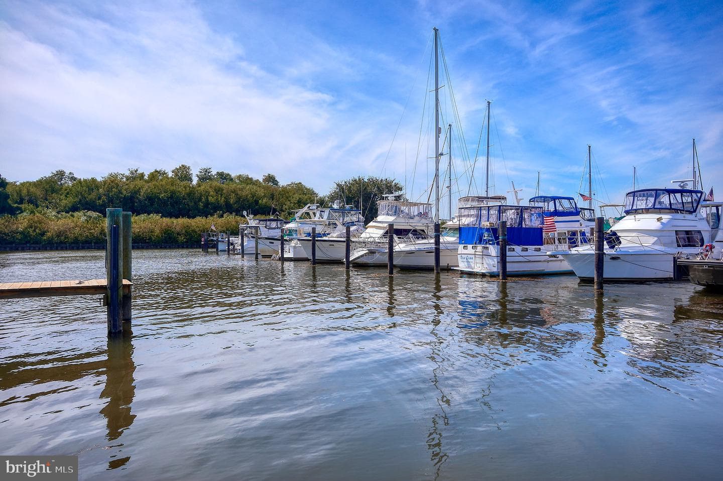 1205 Bern Drive photo 35