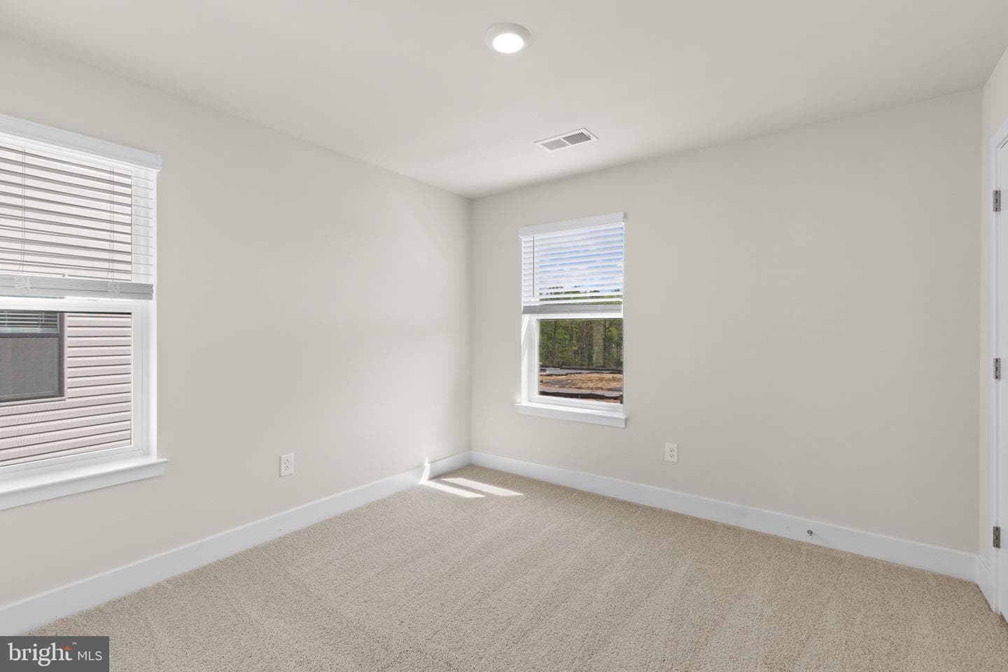 807 Spikeresh Way photo 27