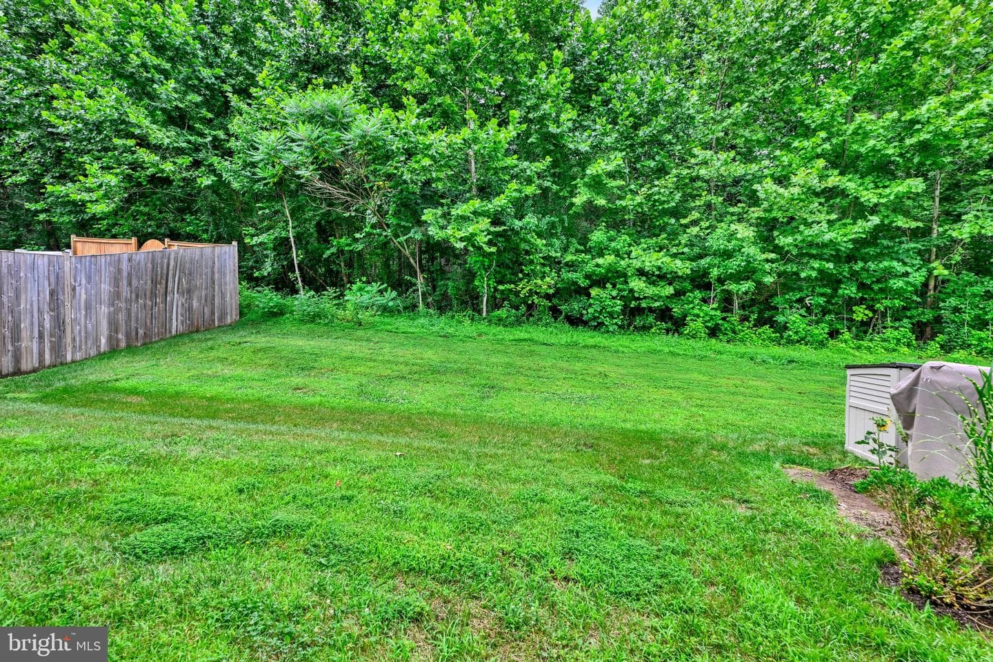 713 English Ivy Way photo 27