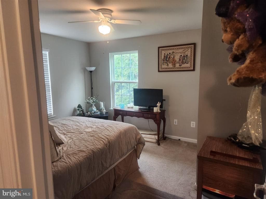528 Potomac Road photo 15