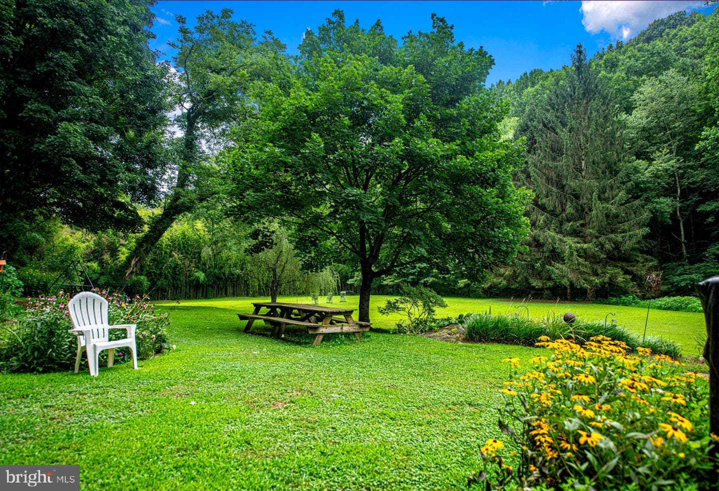 1024 Deer Creek Church Road photo 55
