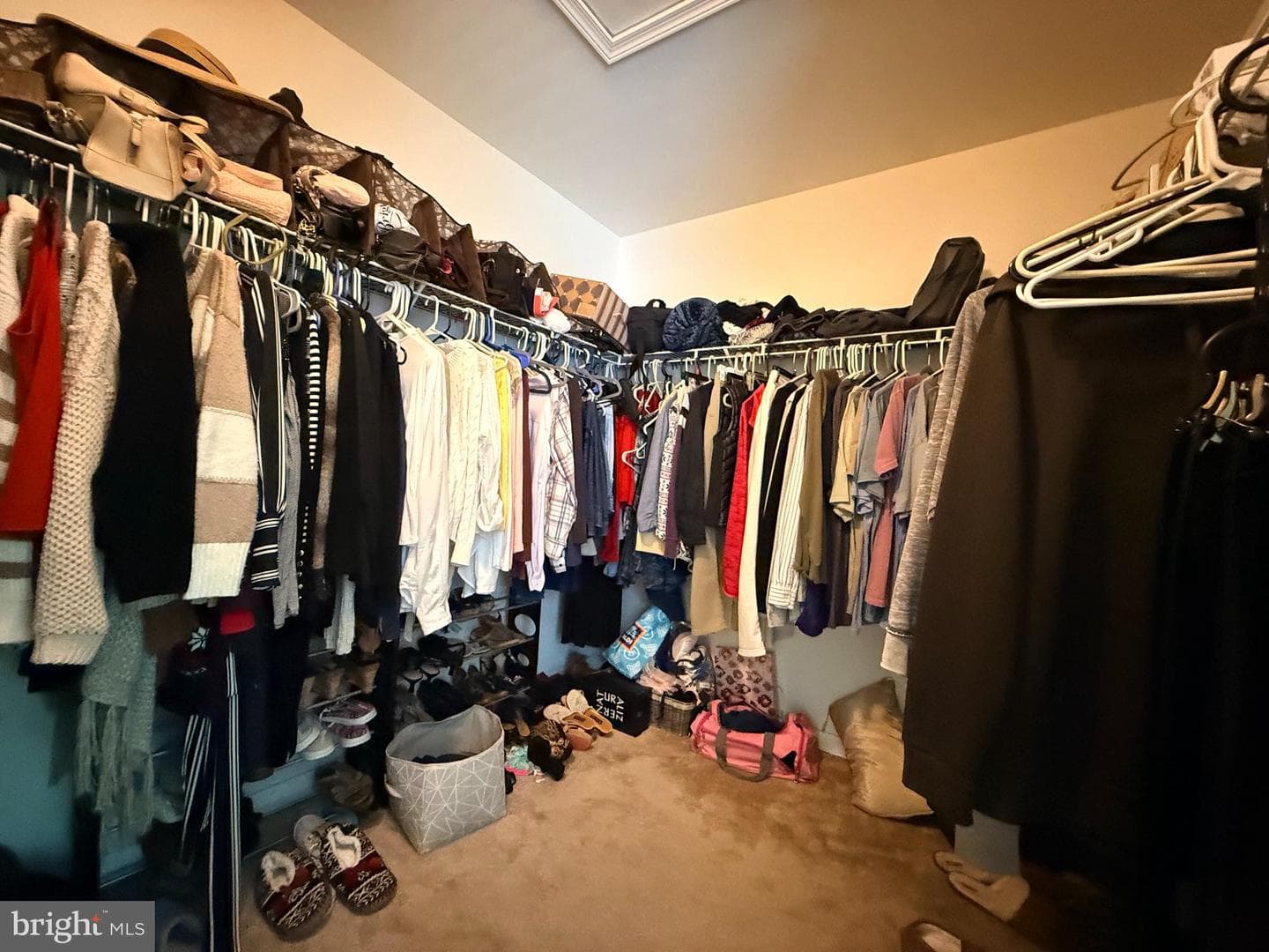 667 English Ivy Way photo 24