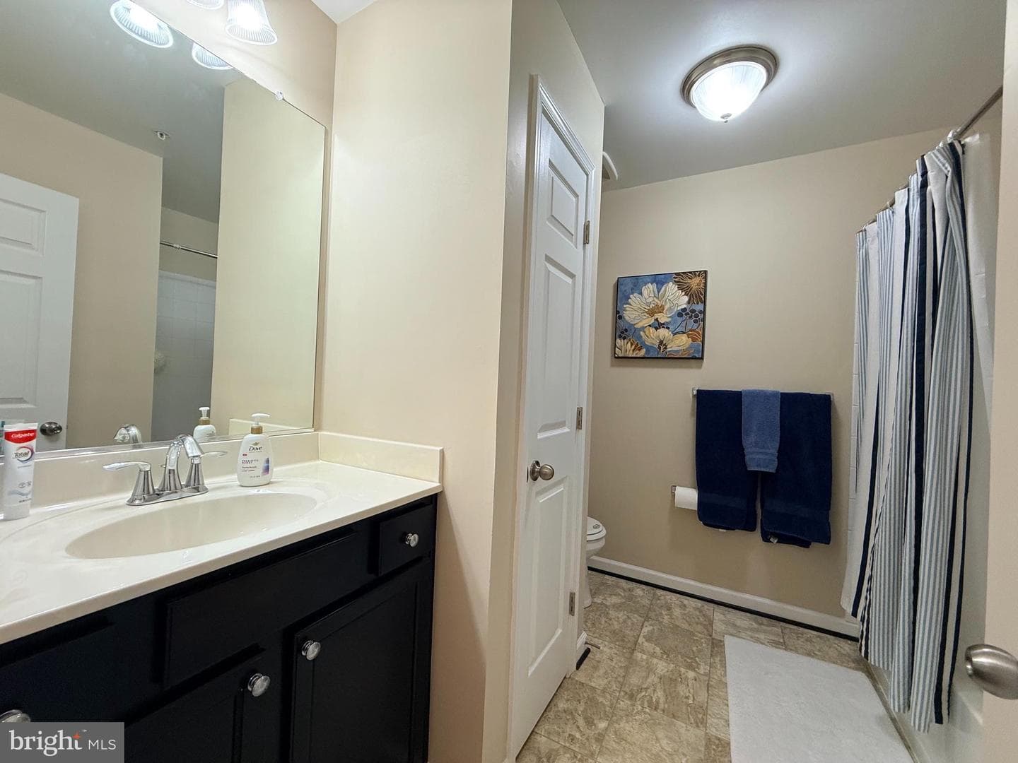 667 English Ivy Way photo 29