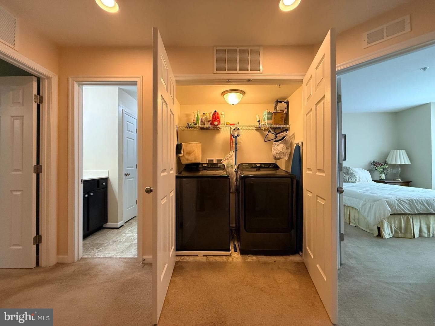 667 English Ivy Way photo 33