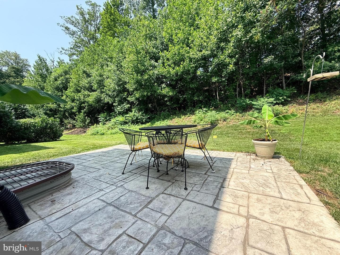 667 English Ivy Way photo 38