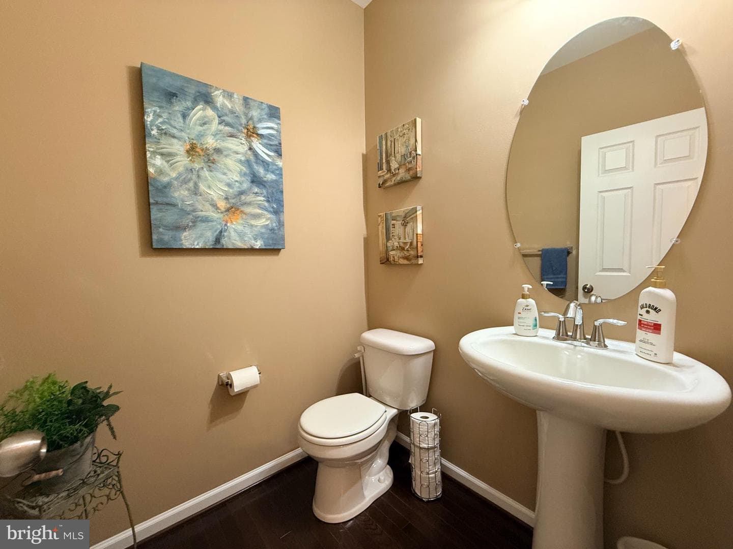 667 English Ivy Way photo 43