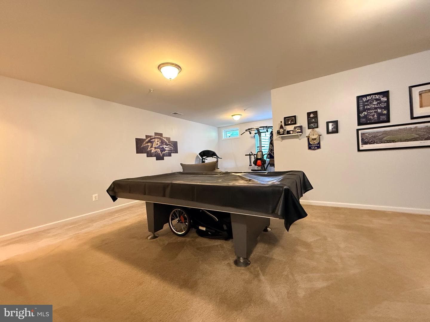 667 English Ivy Way photo 46