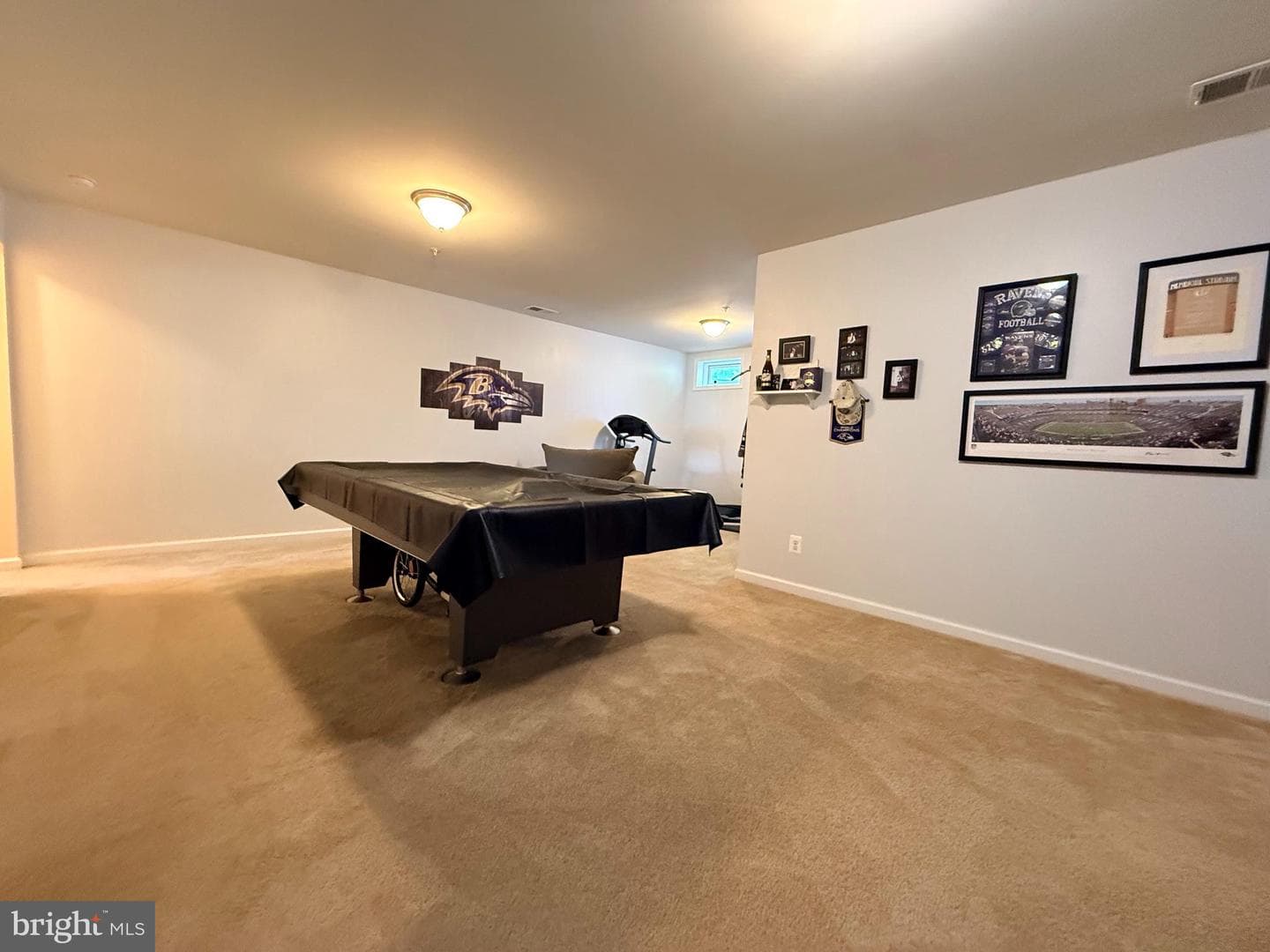 667 English Ivy Way photo 47