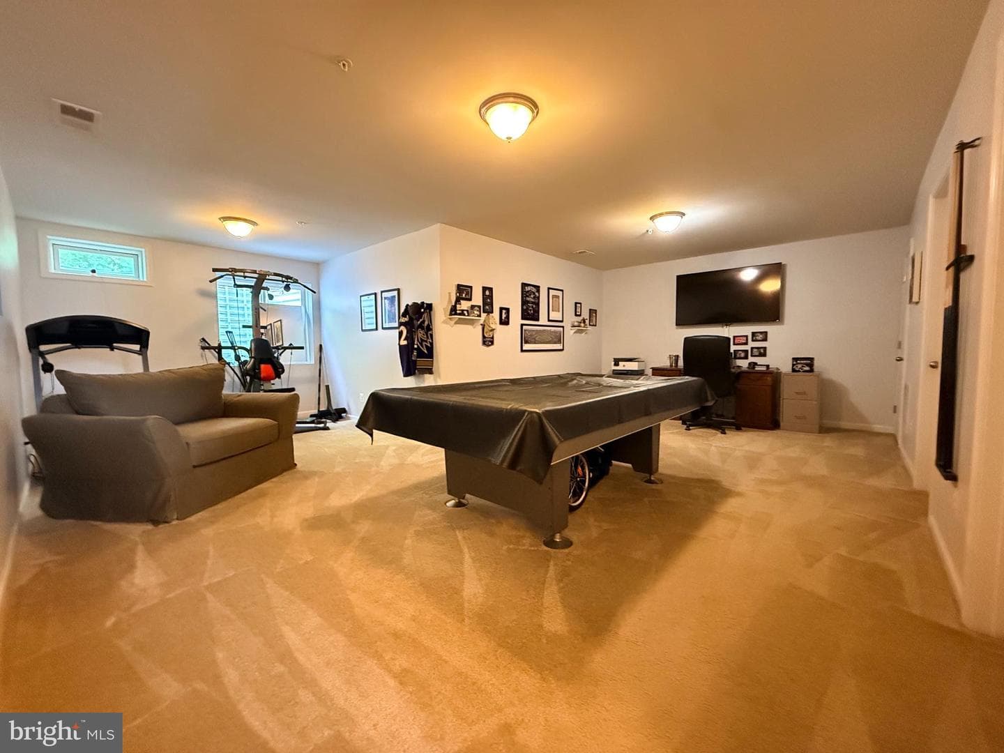 667 English Ivy Way photo 50