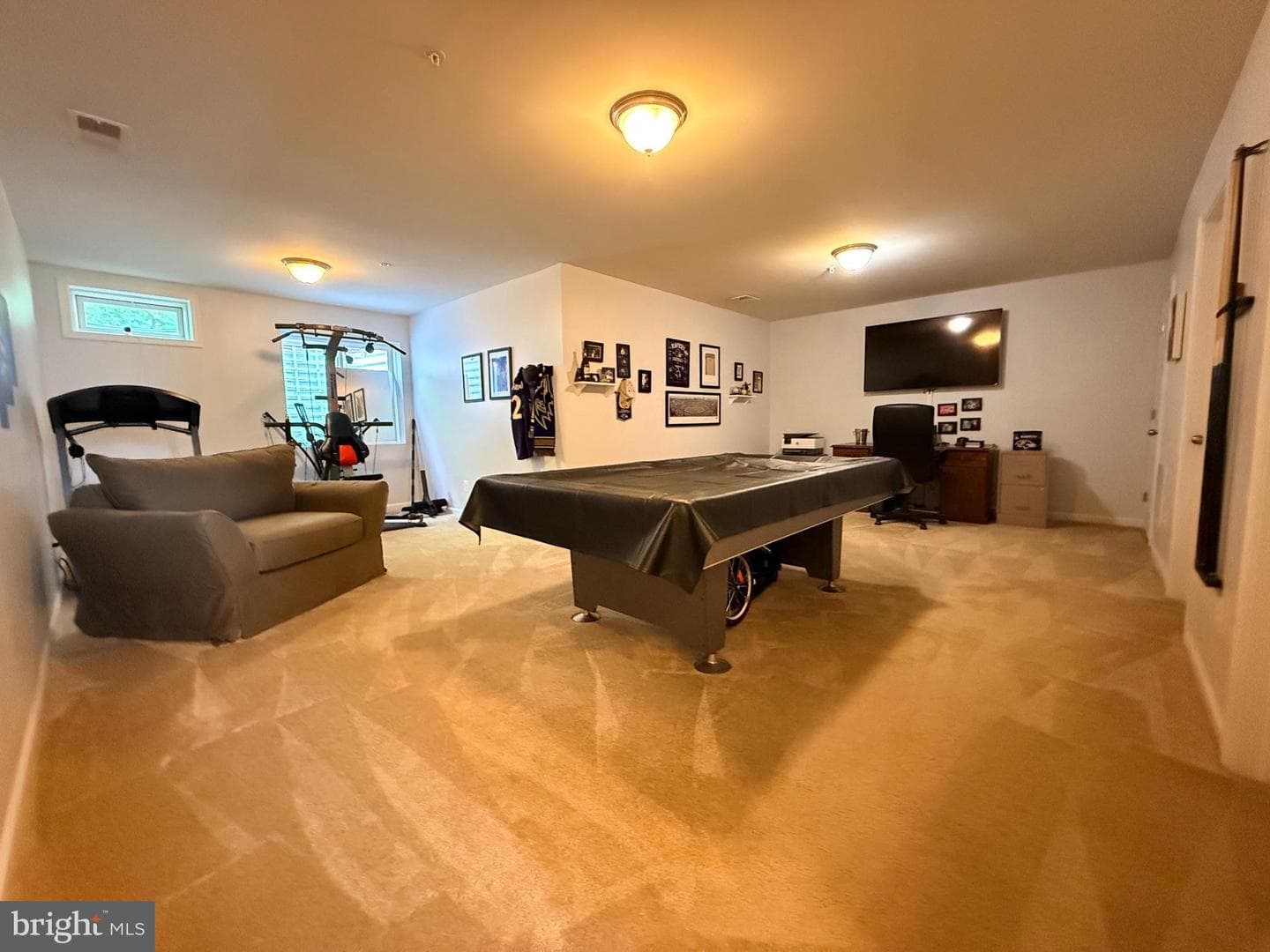 667 English Ivy Way photo 51