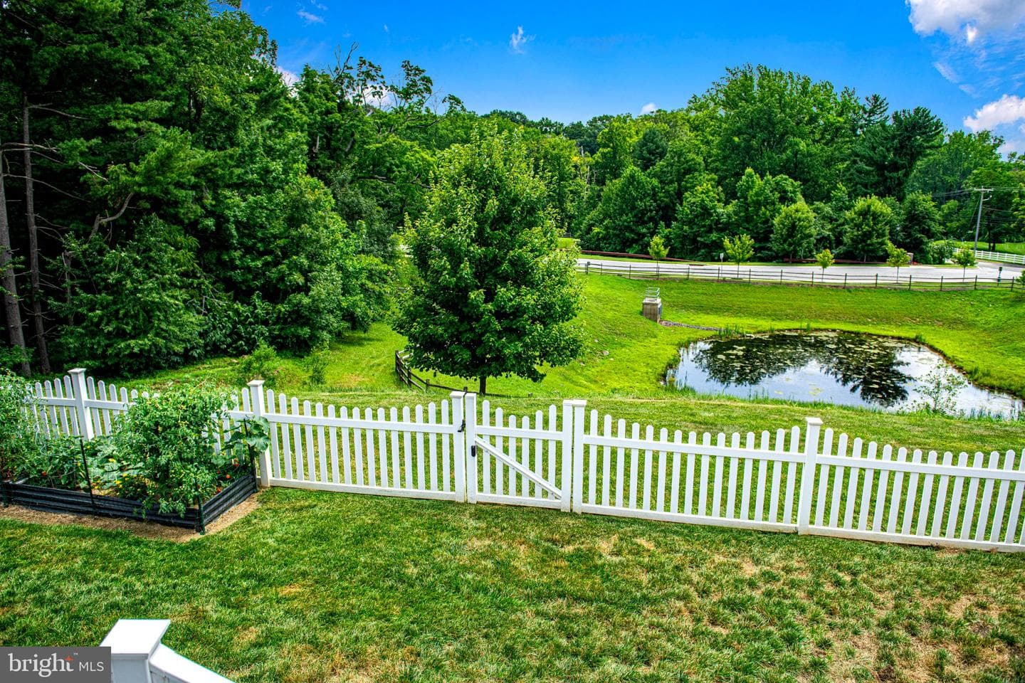 526 Dusk View Drive photo 12