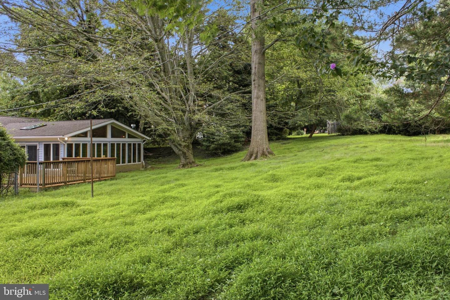 108 Briarcliff Lane photo 63